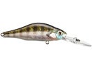 Zip Baits