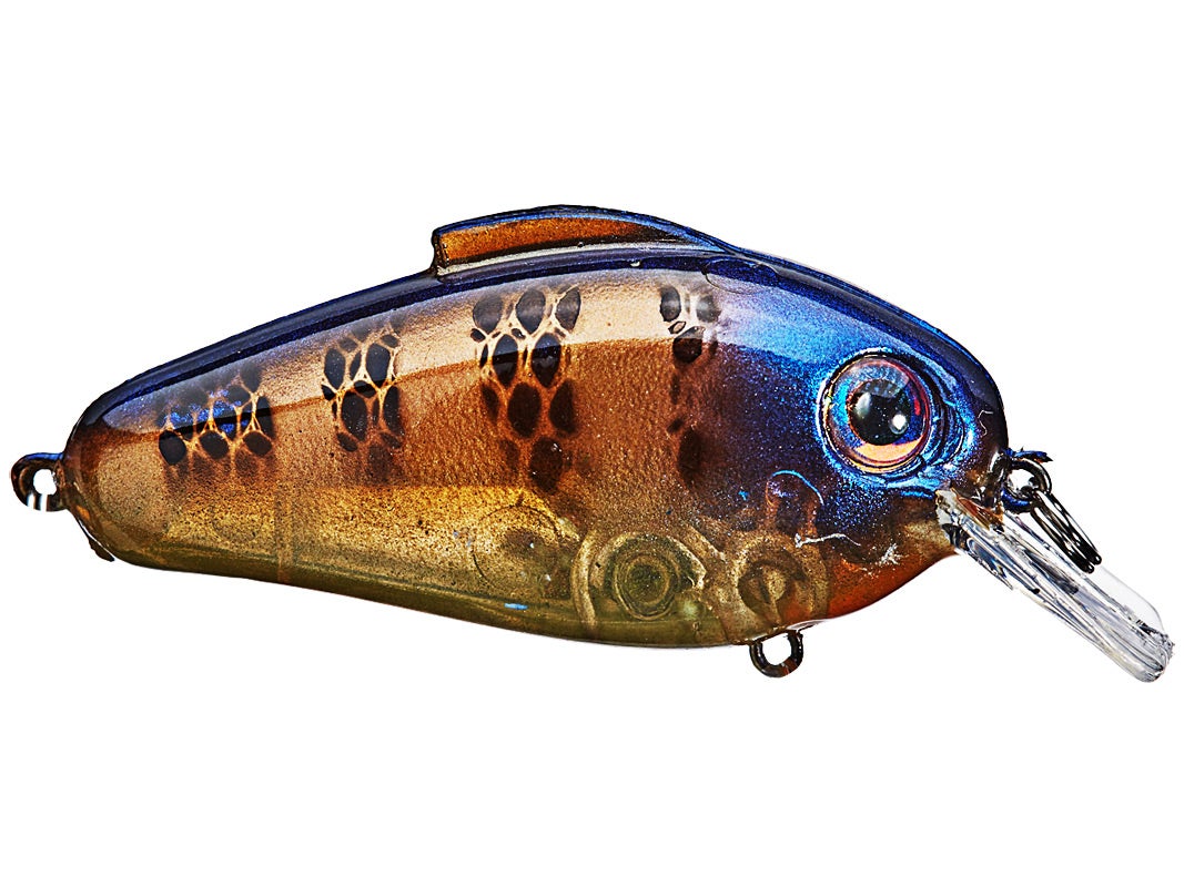 bill lewis echo 1.75 squarebill crankbaits