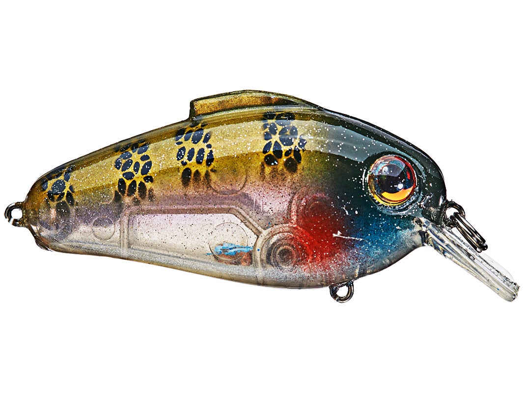 bill lewis echo 1.75 squarebill crankbaits