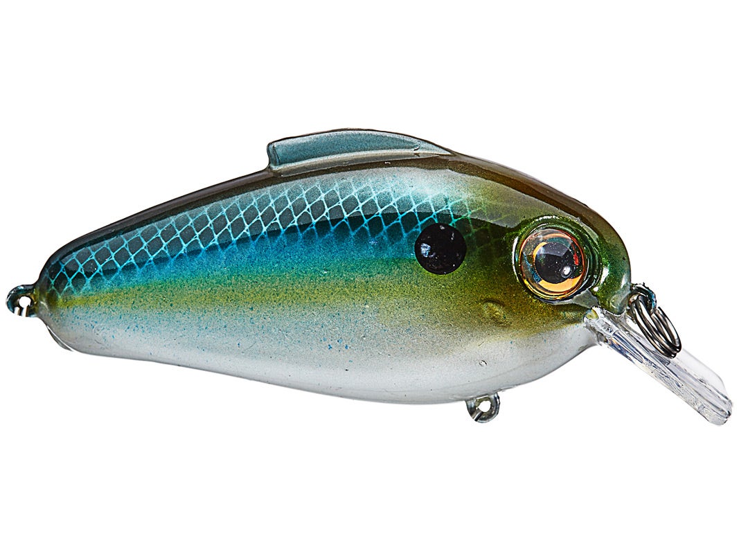 bill lewis echo 1.75 squarebill crankbaits