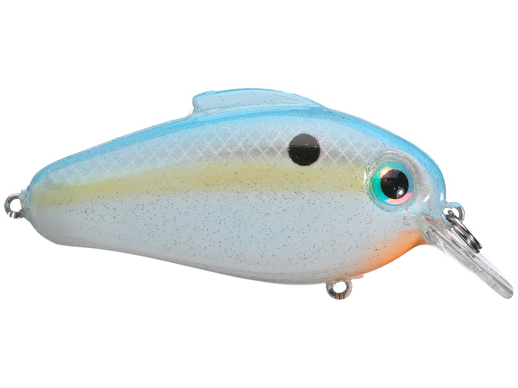 bill lewis echo 1.75 squarebill crankbaits