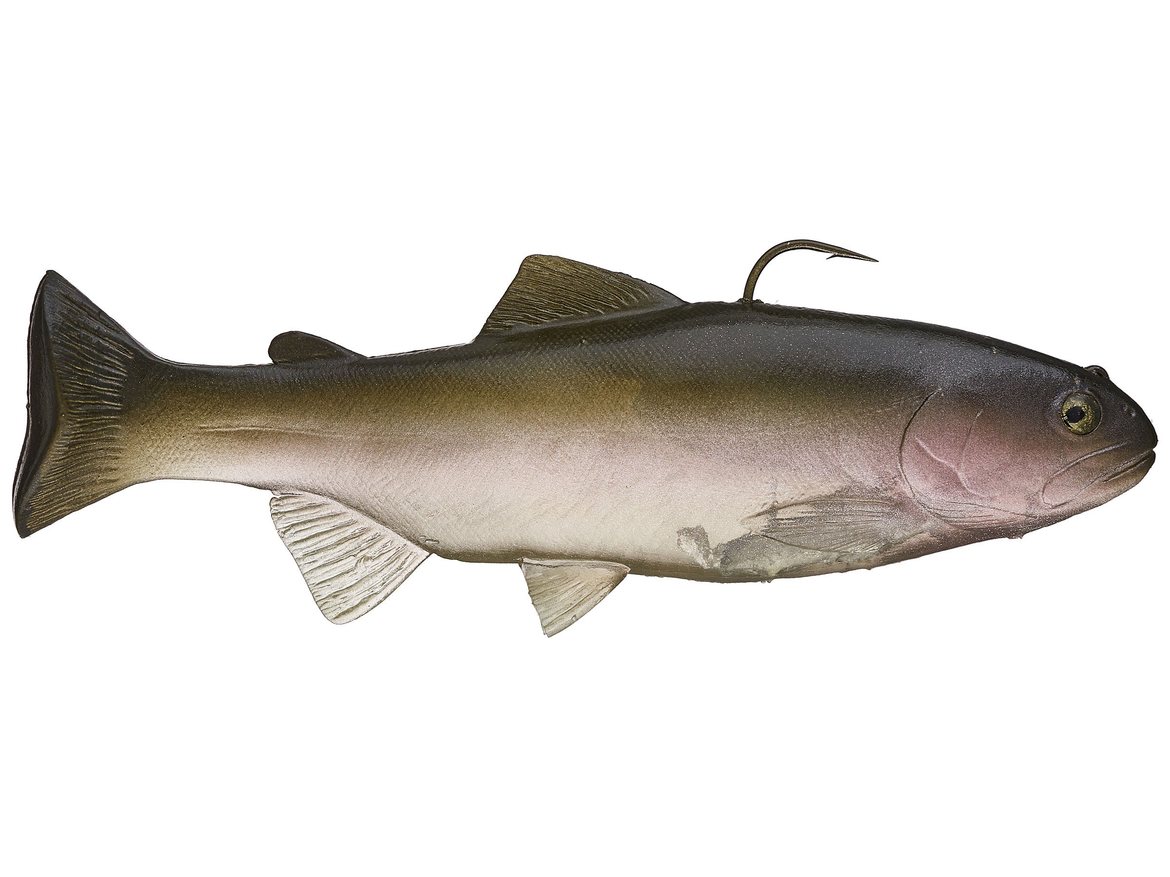 huddleston trout