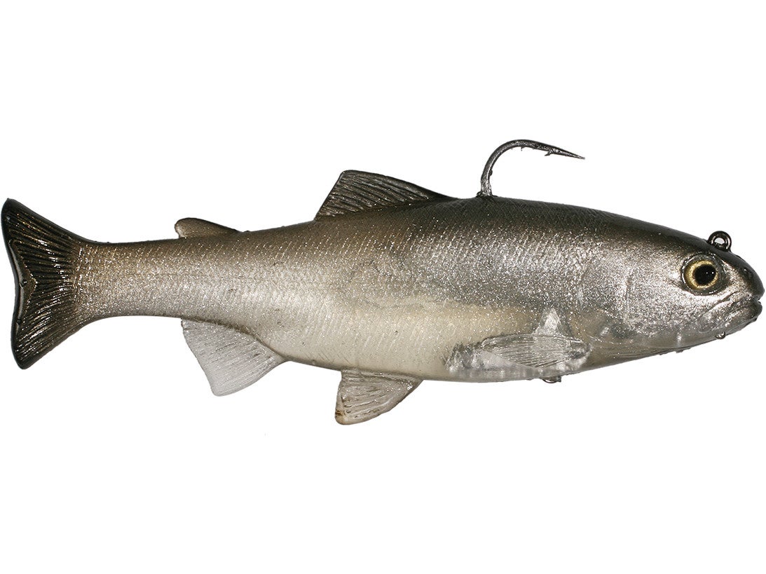 huddleston trout