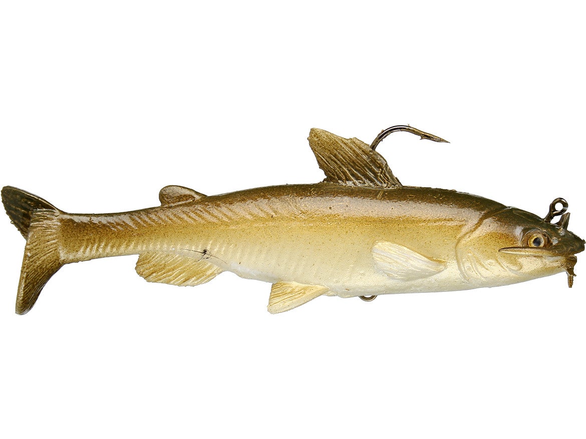 Image result for mattlures channel cat