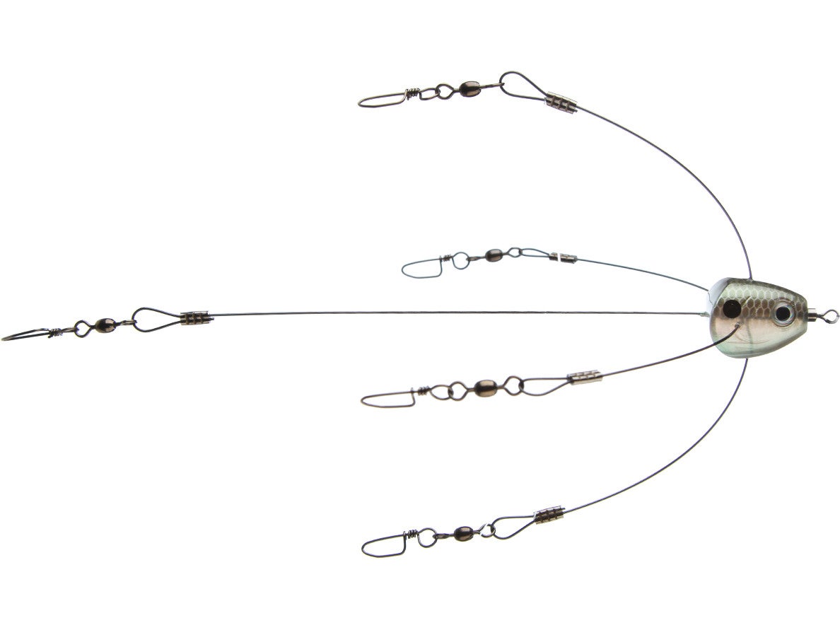 Strike King Tour Grade Titanium Umbrella Rig