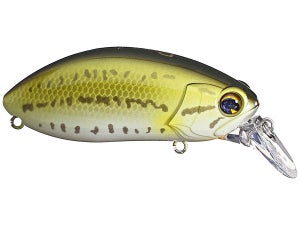 Ima Roumba Crankbait - Tackle Warehouse