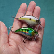 Caperlan WXM CRKSR 53 Crankbait