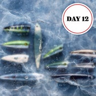 with Any Order Over $50