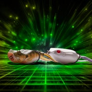 Black Friday Week 2 Savings