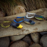 Frog Factory Boom Boom Poppin Frog