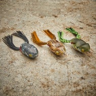 Scum Frog Launch Frog XS