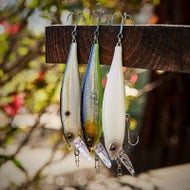 Caperlan WXM MNW 100 SP Jerkbait