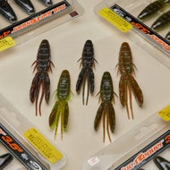 OSP DoLive Beaver Creature Bait