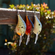 Rapala DT6 Series Crankbaits
