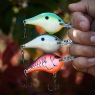 Rapala DT8 Series Crankbaits