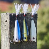 Yellow Magic Japanese Popper