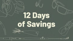 12 Days of Savings