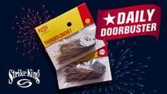 61% Off Strike King Thunder Cricket Vibrating Jigs