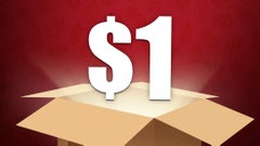 Bargain Bin Sale!