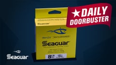Today's Doorbuster: 50% Off Seaguar InvizX