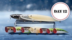 Free Lobina Rico Blem with Any Order Over $50