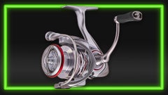 20% Off Reels*