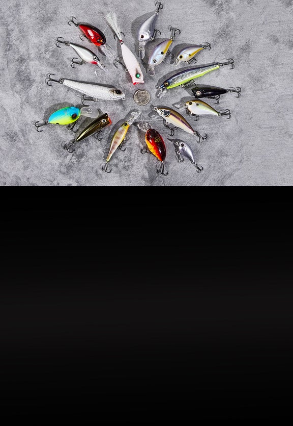 Big Bites. Small Baits.