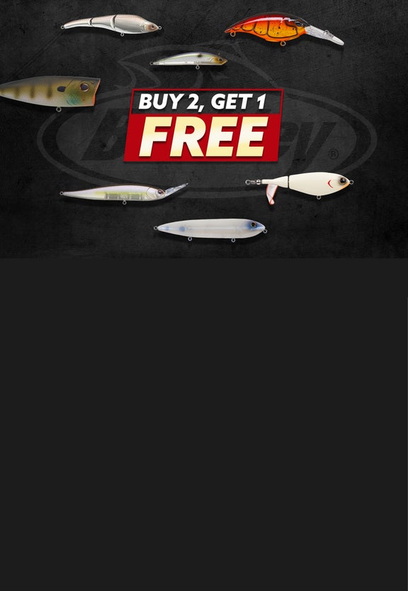 Buy 2, Get 1 FREE