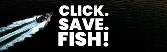 Exclusive Limited-Time Offer - 20% Off Almost Everything!