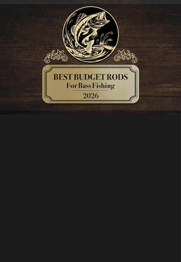 The Best Budget Rods