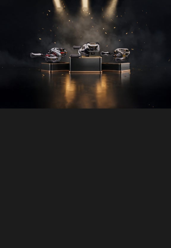 Best NEW Casting Reels