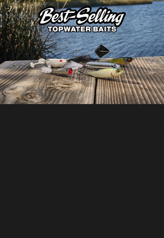 Best-Selling Topwater<br>Baits of 2026