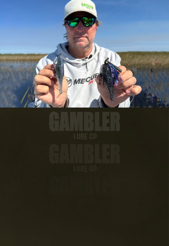 Bladed Swim Jig<br> & Swimbaits