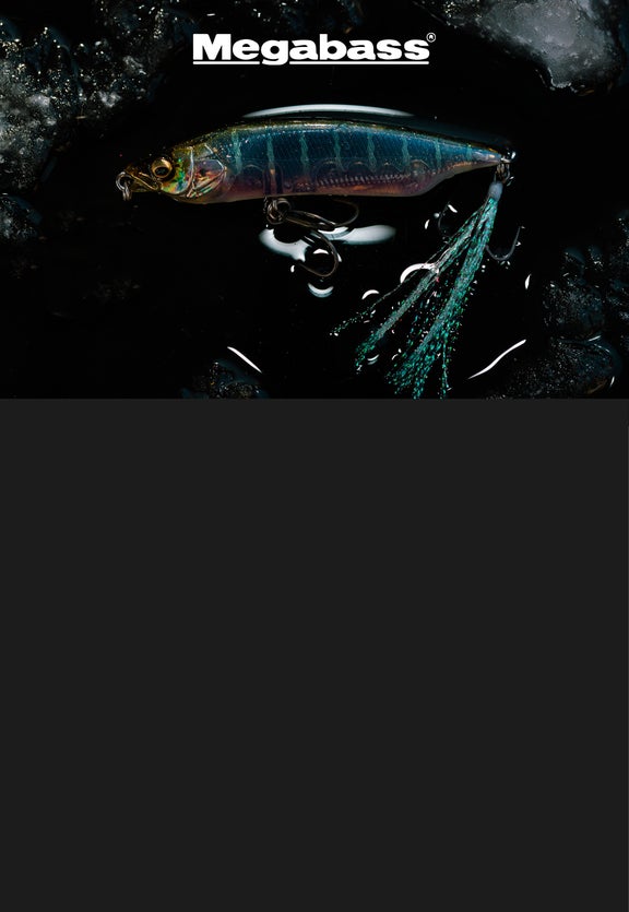 Megabass Karashi 80