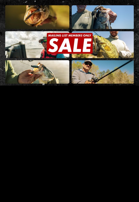 15% Off 