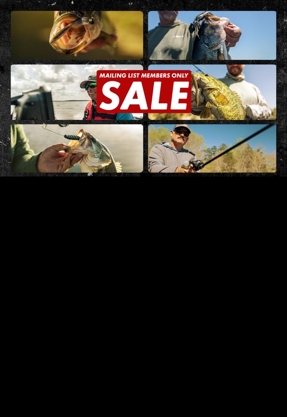 15% Off 