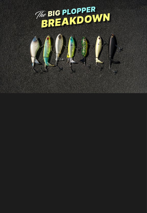 The Big<br>Plopper Breakdown