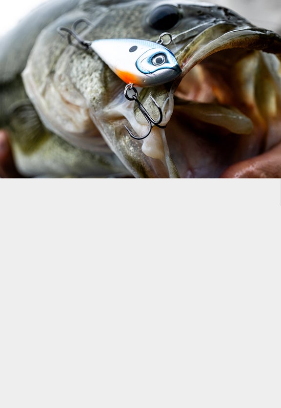 Snare 50 Lipless Crankbait