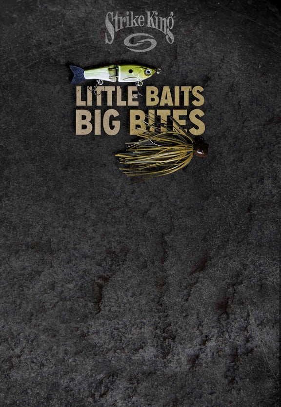 Bitsy Lineup Expands