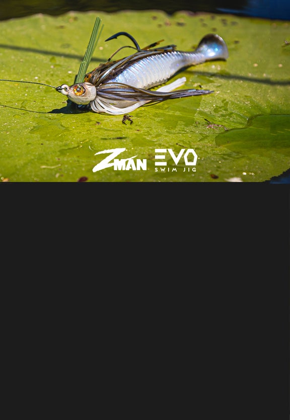 EVO Swim Jig