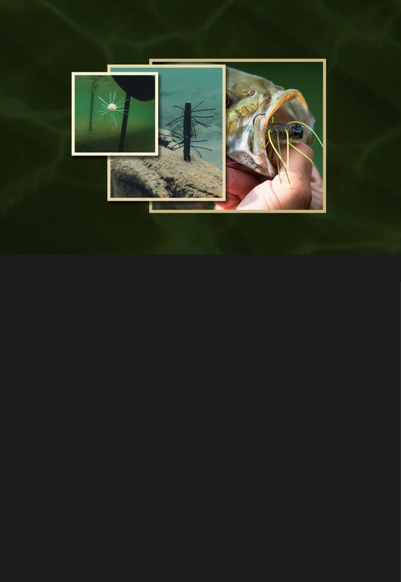 Fuzzy TRD, <br>Bugz & Nuggetz