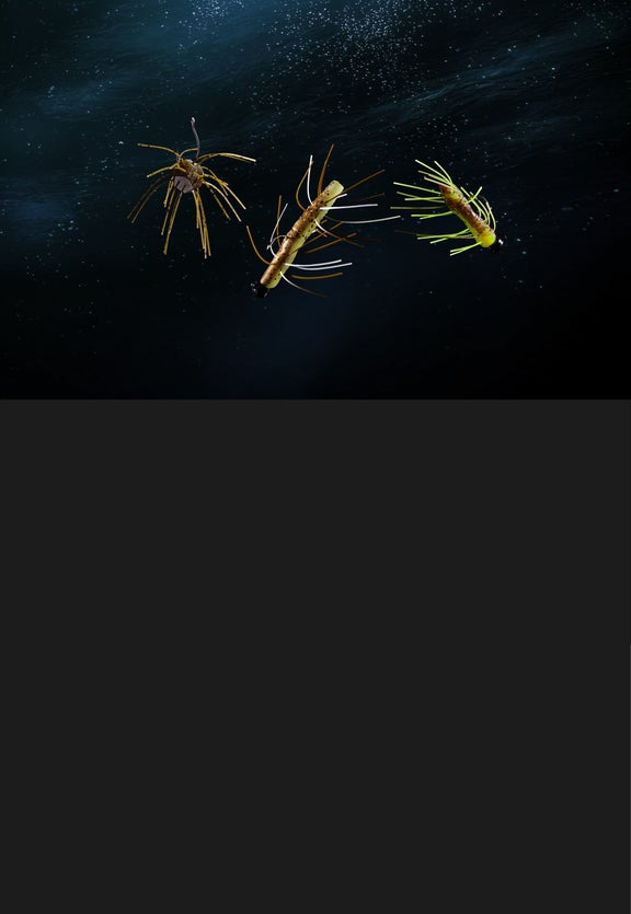 Fuzzy TRD, Bugz & Nuggetz