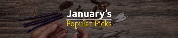 January's Popular Picks