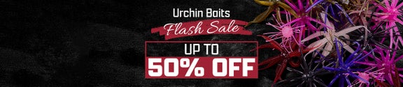 Urchin Baits Flash Sale!