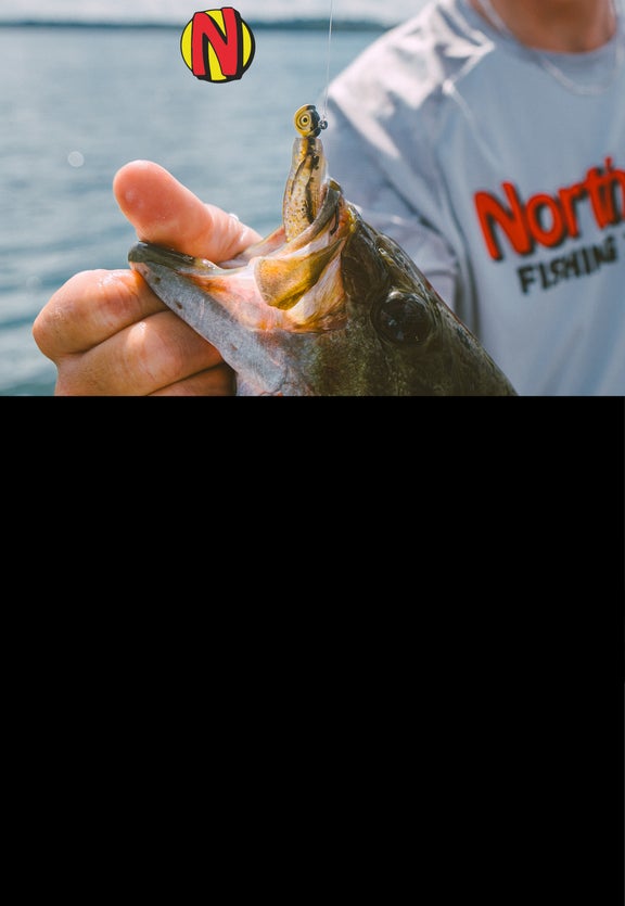 Northland Fishing Tackle Tips