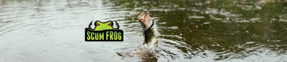 Scum Frog