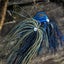 Dirty Jigs Lure Making & Customization