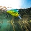 Shimano Baits