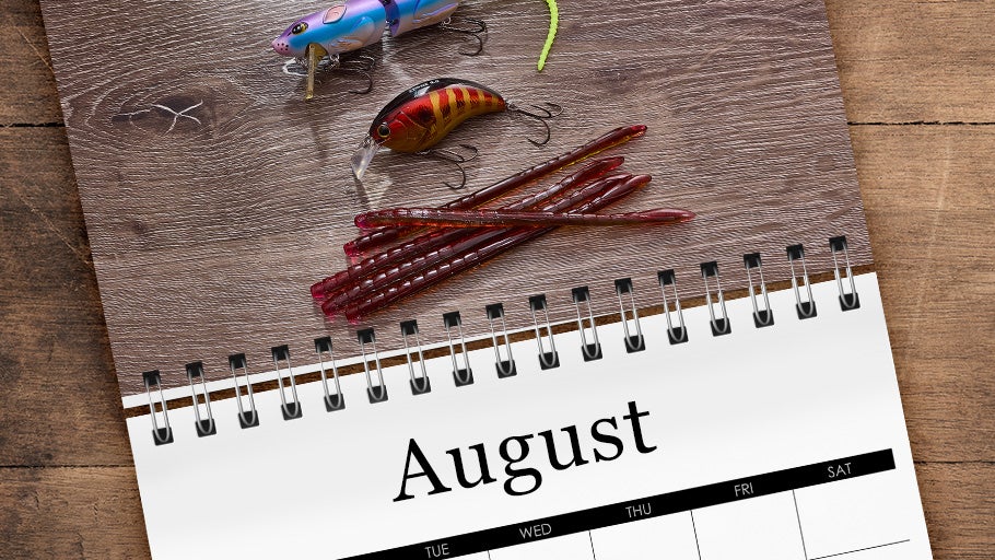 August Staff Picks