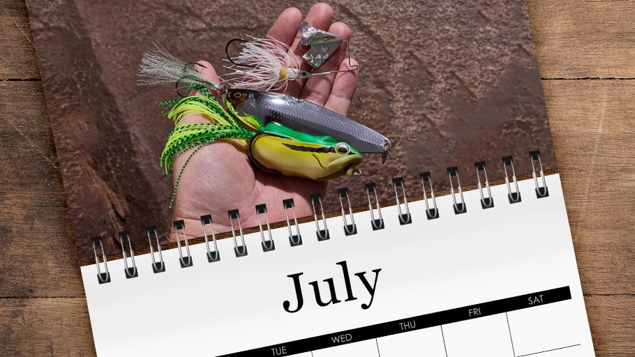 July Staff Picks